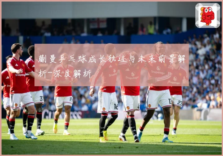 蒯曼乒乓球成长轨迹与未来前景解析-深度解析