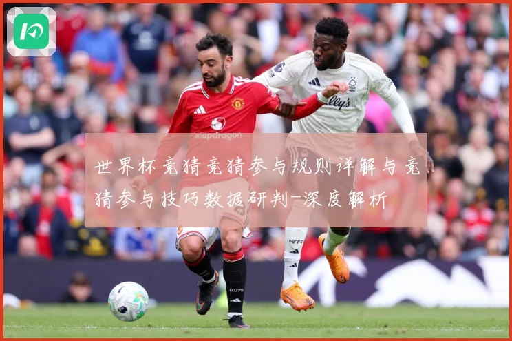 世界杯竞猜竞猜参与规则详解与竞猜参与技巧数据研判-深度解析