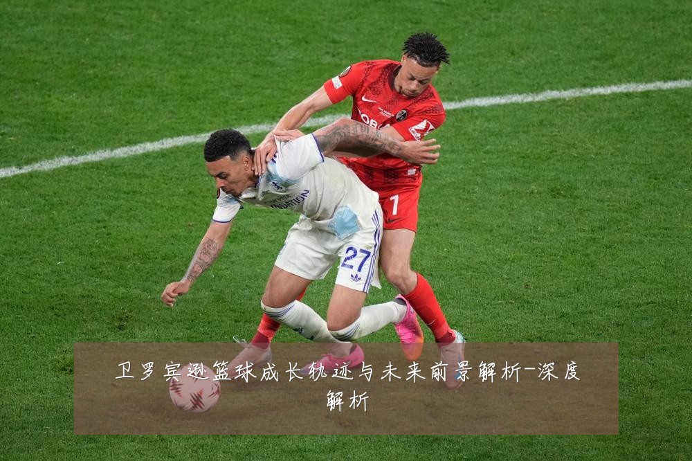 卫罗宾逊篮球成长轨迹与未来前景解析-深度解析